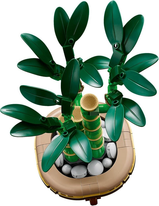 LEGO Icons 10344 Lucky Bamboo