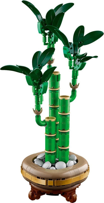 LEGO Icons 10344 Lucky Bamboo