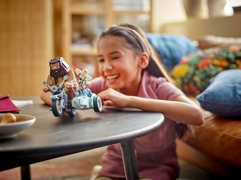 LEGO Harry Potter 76443 Hagrid & Harrys Motorcycle Ride