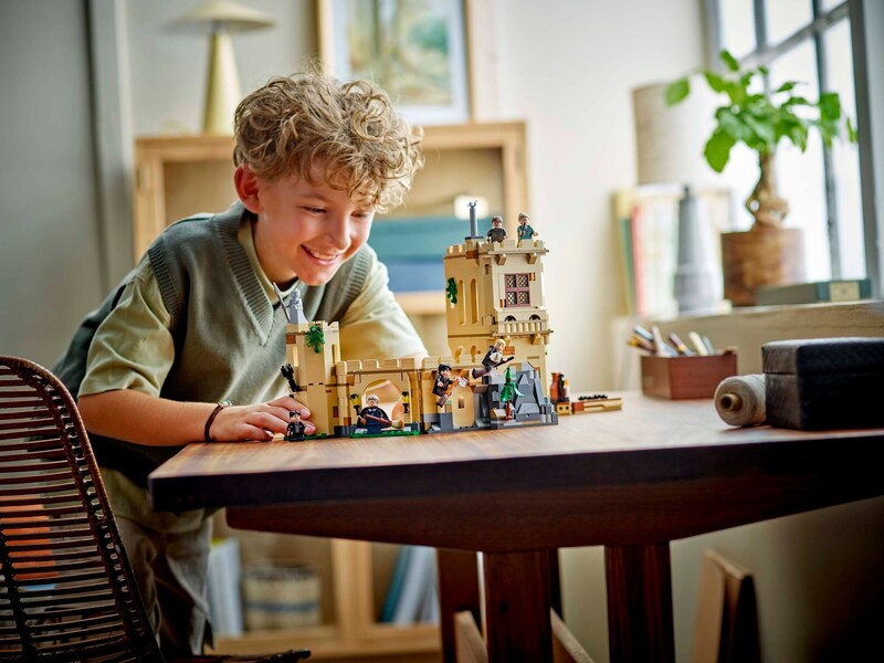 LEGO Harry Potter 76447 Hogwarts Castle: Flying Lessons