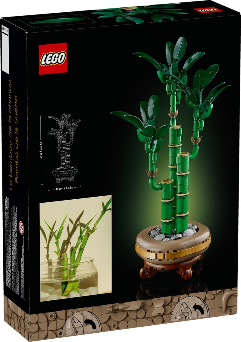 LEGO Icons 10344 Lucky Bamboo