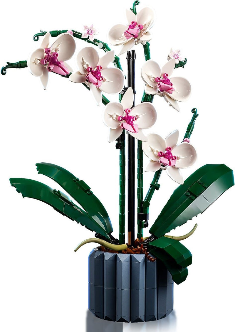 LEGO Icons 10311 Orchid