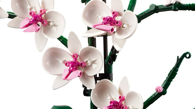 LEGO Icons 10311 Orchid